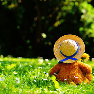 天堂一区二区三区在线观看
